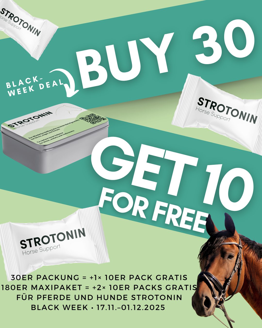 Strotonin Horse Support