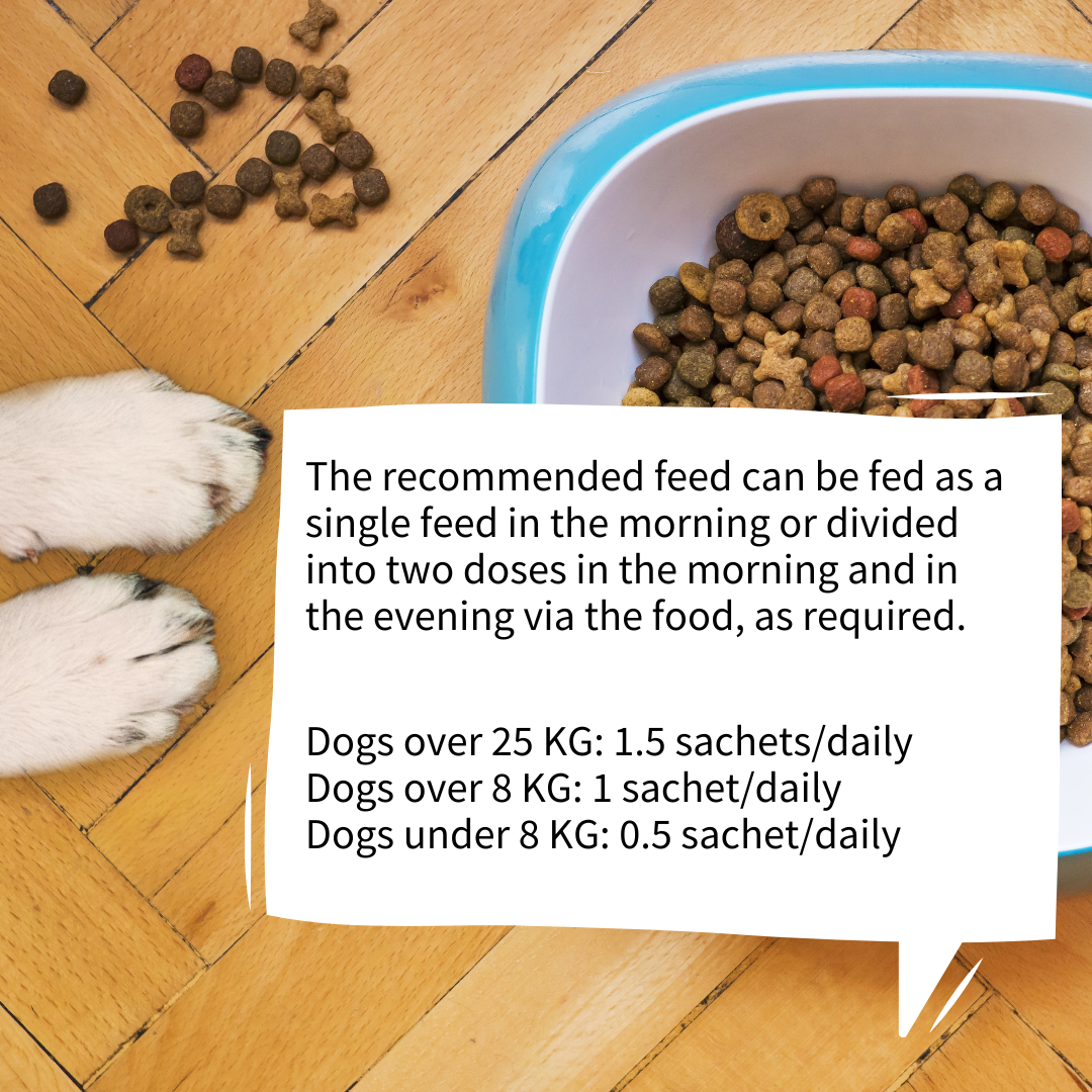 Strotonin Dog Support