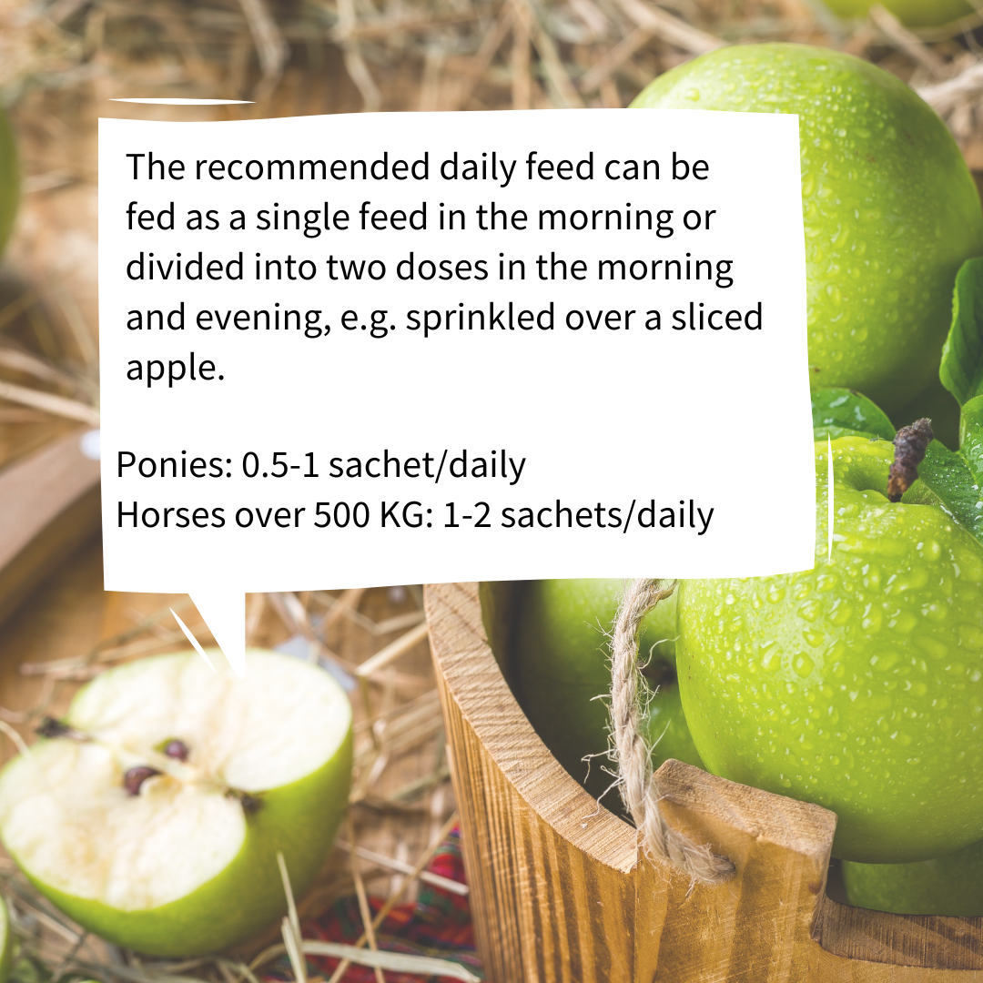 Strotonin Horse Support