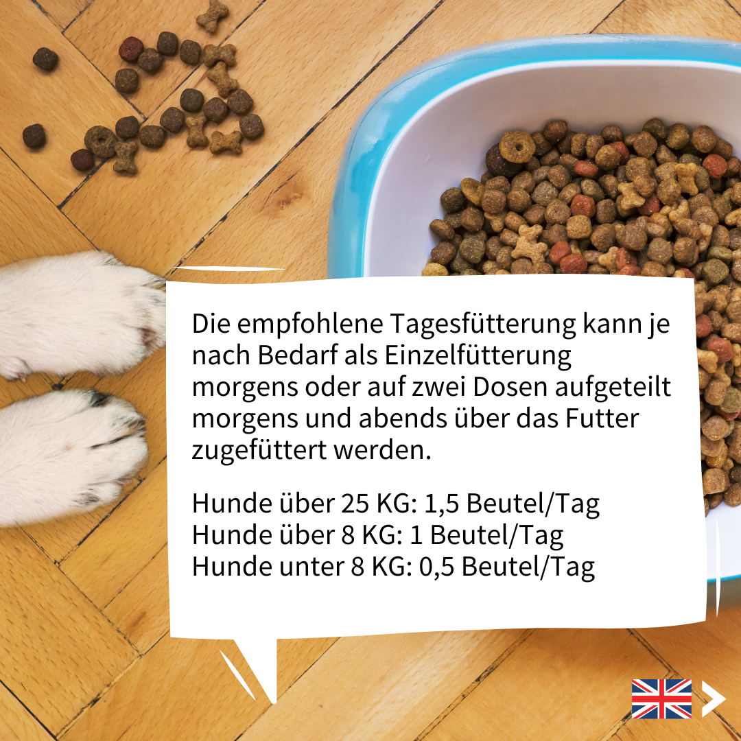 Dosierung Strotonin Nerve Support fuer Hunde