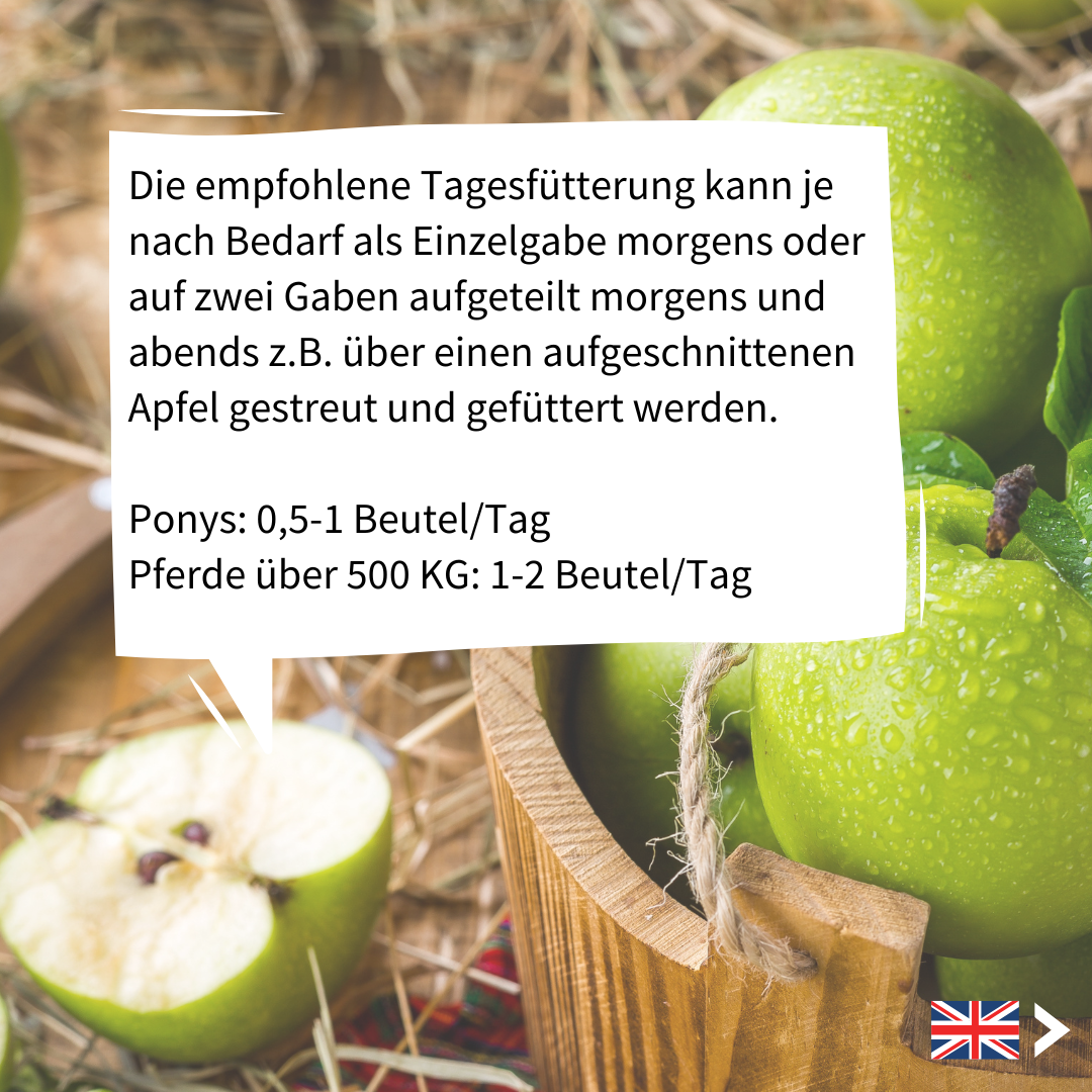 Strotonin Dosierung Pferd