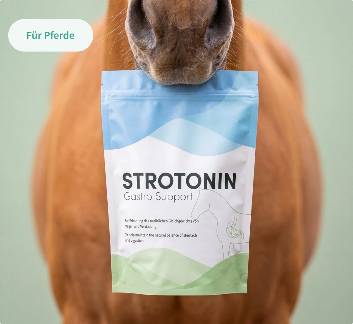Strotonin Gastro Support