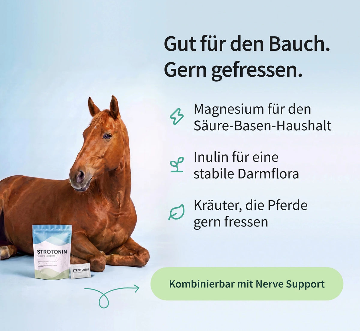 Strotonin Gastro Support